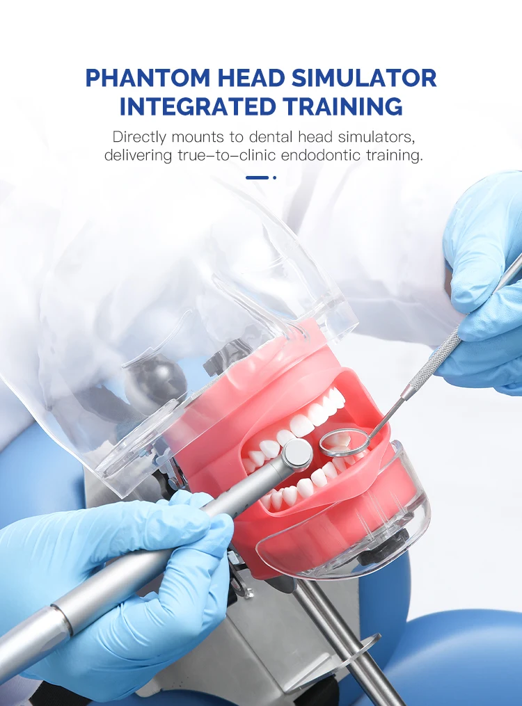 28-teiliges Set AZDENT Dental RCT Wurzelkanal-Übungsmodell Zähne Typodont Endo-Trainings- und Lehrmodell Endodontisches Harzzahnmodell – Detail 9
