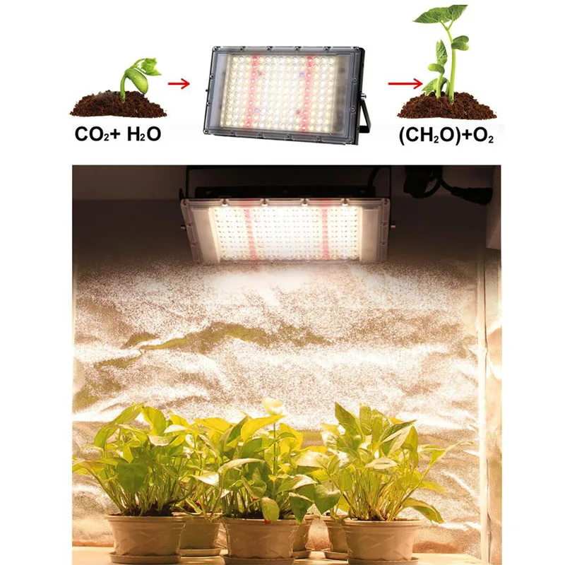 

300w sunlight LED plant Grow Light seed flower growing Phyto lamp kit Full Spectrum 220V indoor growtent box Hydro Lighting a1