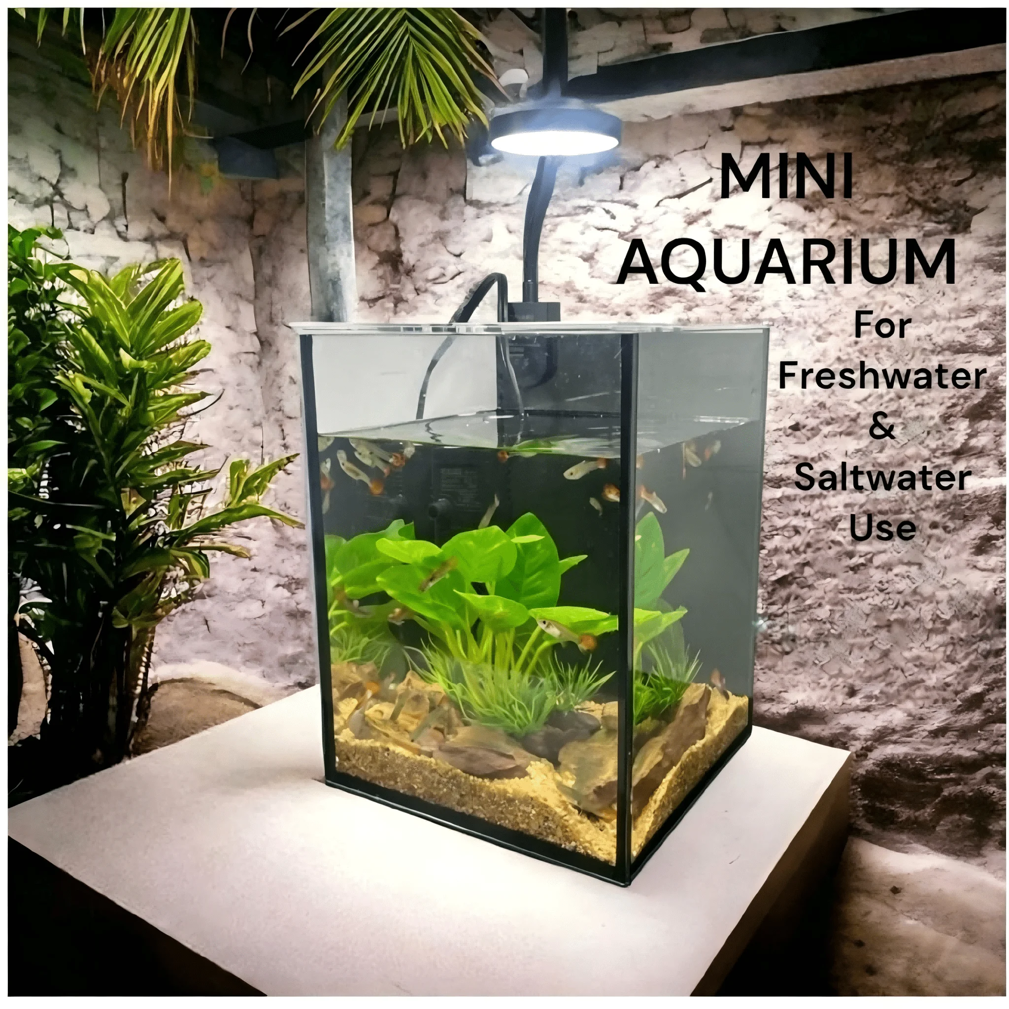 Mini Aquarium Set Fish Tank shrimp tank snails tank planted tank 1.19 Gallon Aquarium Kit, Small Desktop Fish Tank for Small Aqu