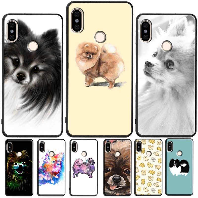 Pomeranian Dog For … - image