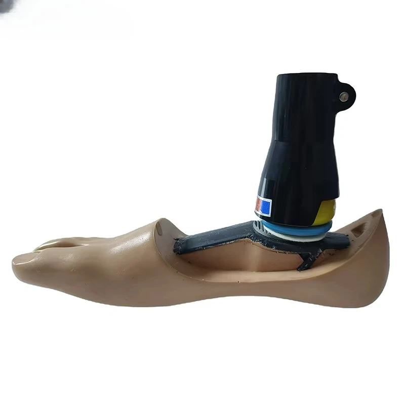 

Prosthetic high ankle spherical ankle shock-absorbing elastic prosthetic foot universal ankle foot