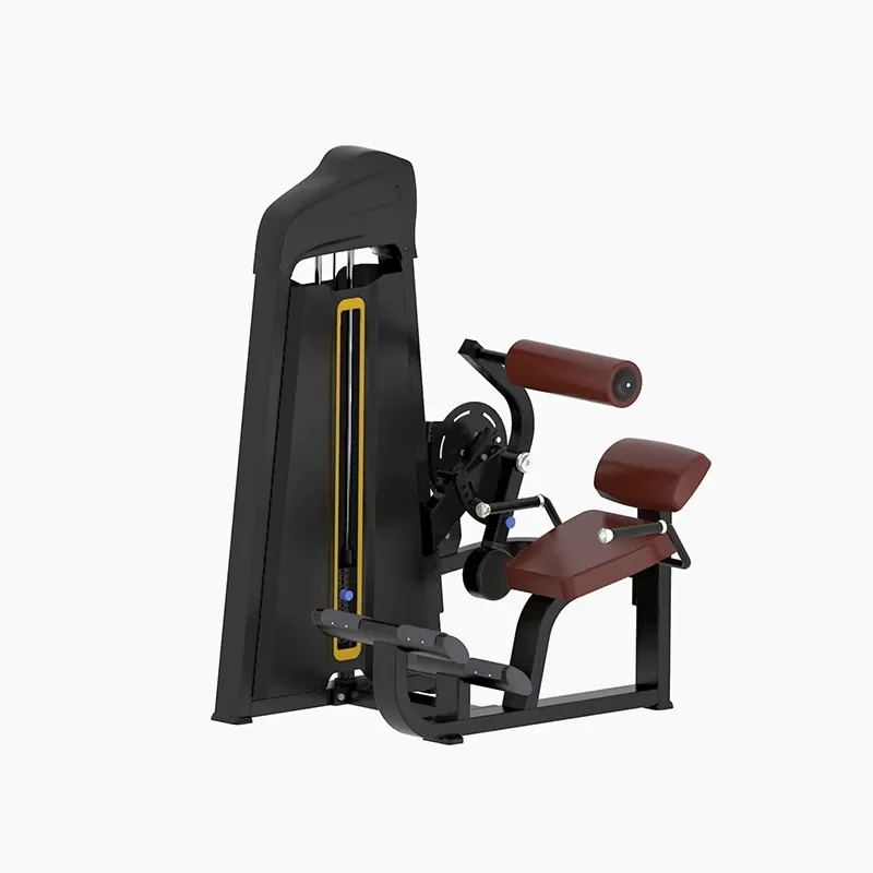 Lower Back Machine Ultra Extension Commercial Fitness Equipment Seated Back Extension Machine
