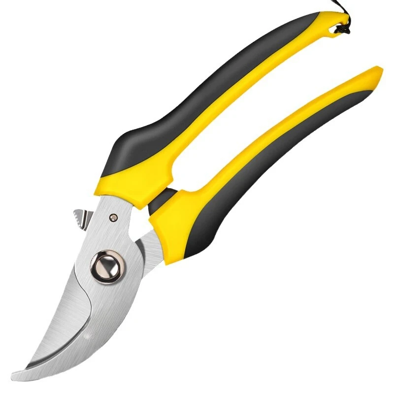 

Garden shears Garden tree clippers Household pruning shears 8 inch DL2789