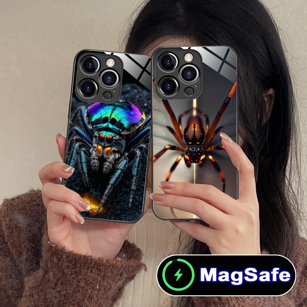 Colour Painting Spider Mobile Cell Phone Case for iPhone 16 15 14 13 12 11 Pro Max Plus Mini MagSafe Wireless Charging Glass Cov