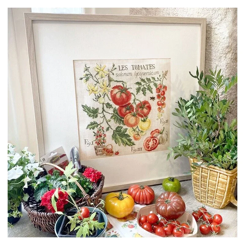 Amishop Top Quality Beautiful Counted Cross Stitch Kit, Tomatoes, Botanical Studies, Fruits, Les Tomates, LBP