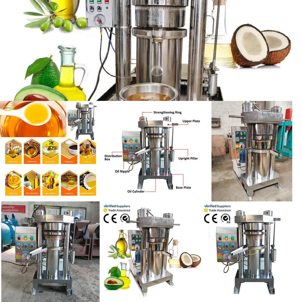 

Food Grade Automatic Small Hydraulic Oil Press Machine Get Butter And Cocoa Block (Cocoa Cake)