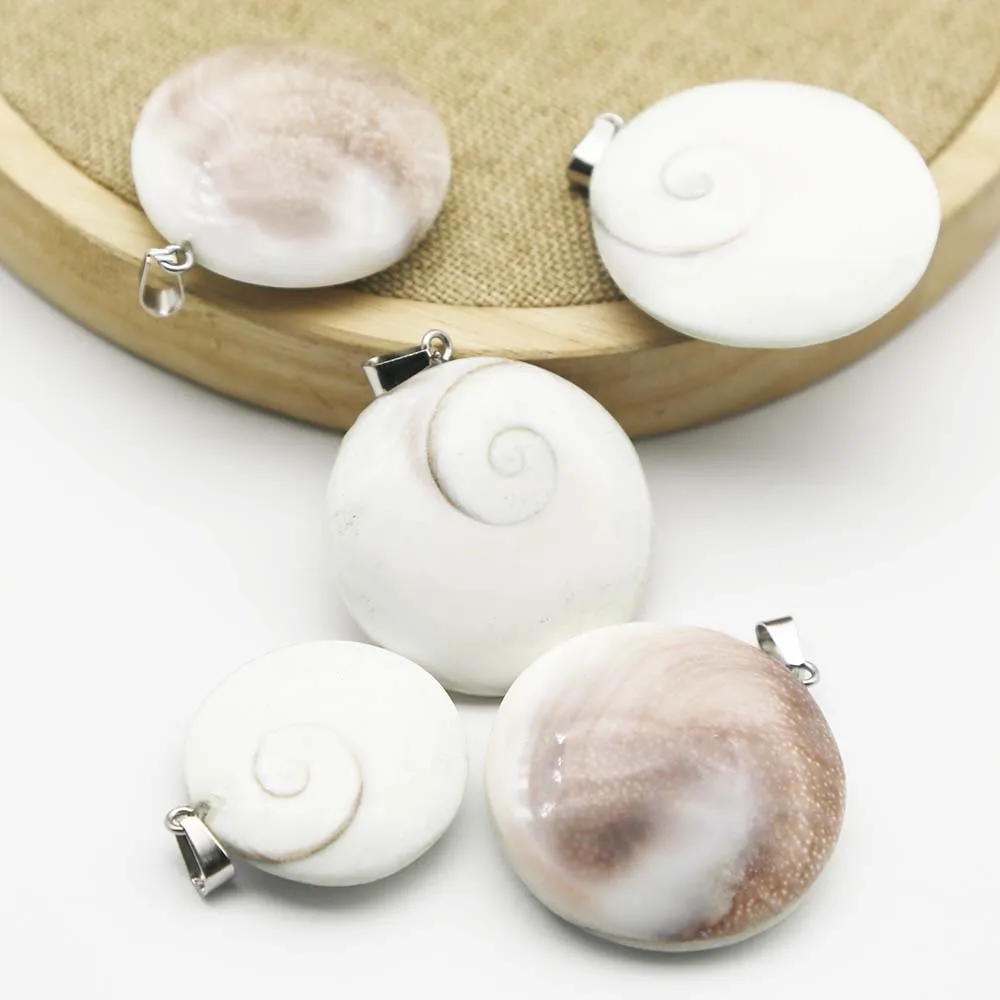 Natural Semiprecious Stone Sun Shell Raw Stone Small Sun Shell Hard Shell Conch Shell Pendant Home Decoration 8PCS Free Shipping