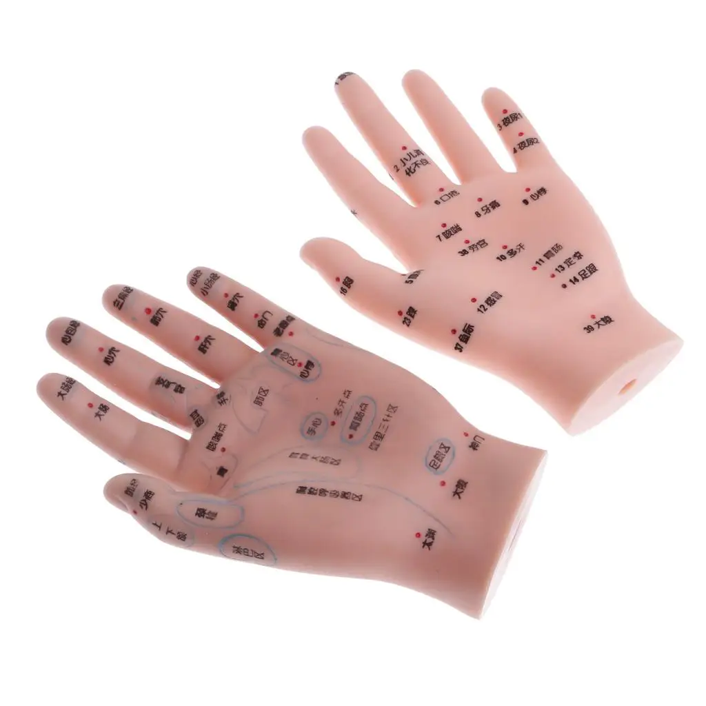 2x Anatomical Professional Acupuncture Hands Acupoint Model Teaching