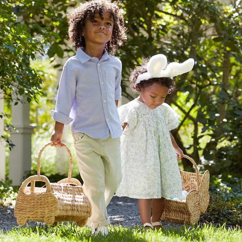 

Handwoven Gourd Grass Storage Basket Cute Car Toy Organizer for Kid Flower Picnic Basket with Handle Butterfly Rattan Basket Bag