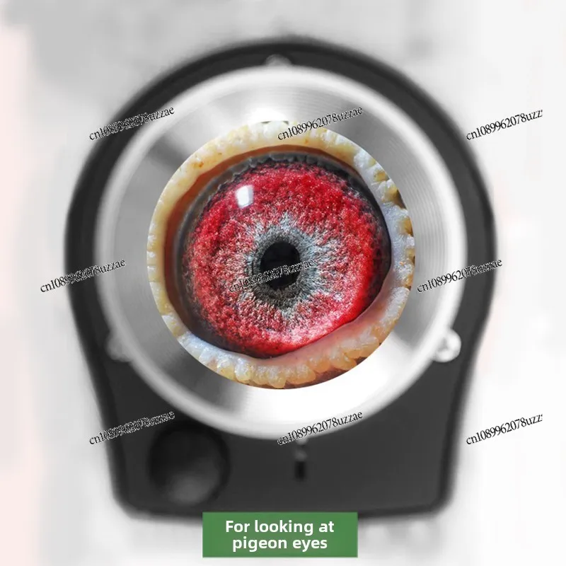 Genuine Jewelry Antique, Purple Light Professional Appraisal Special Magnifying Glass 100 Cloth
