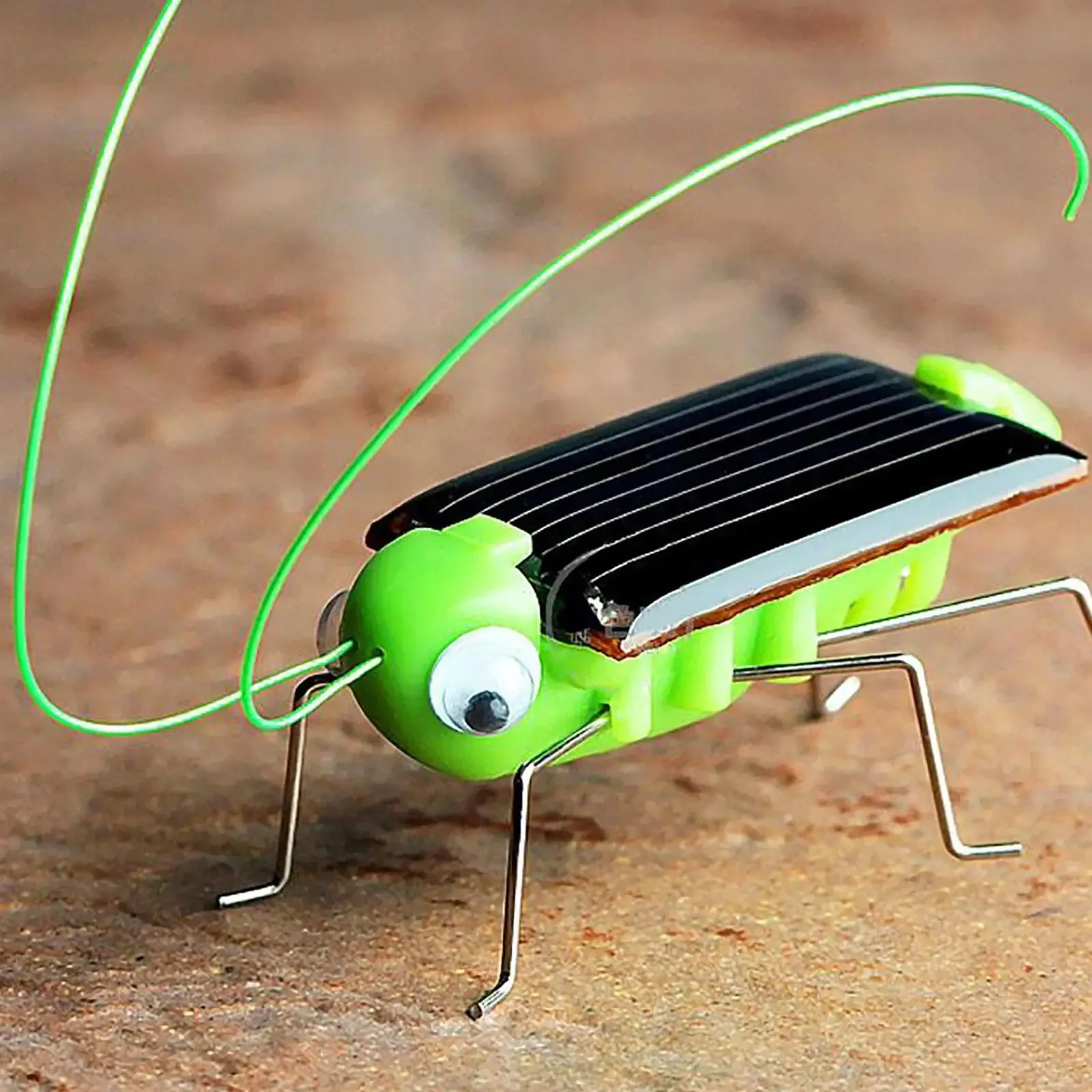 Mini Solar Grasshopper Cockroach Car Toy Simulation Crazy Car Insect Car Model Solar Toy No Battery Children\'s Solar Insect Toys