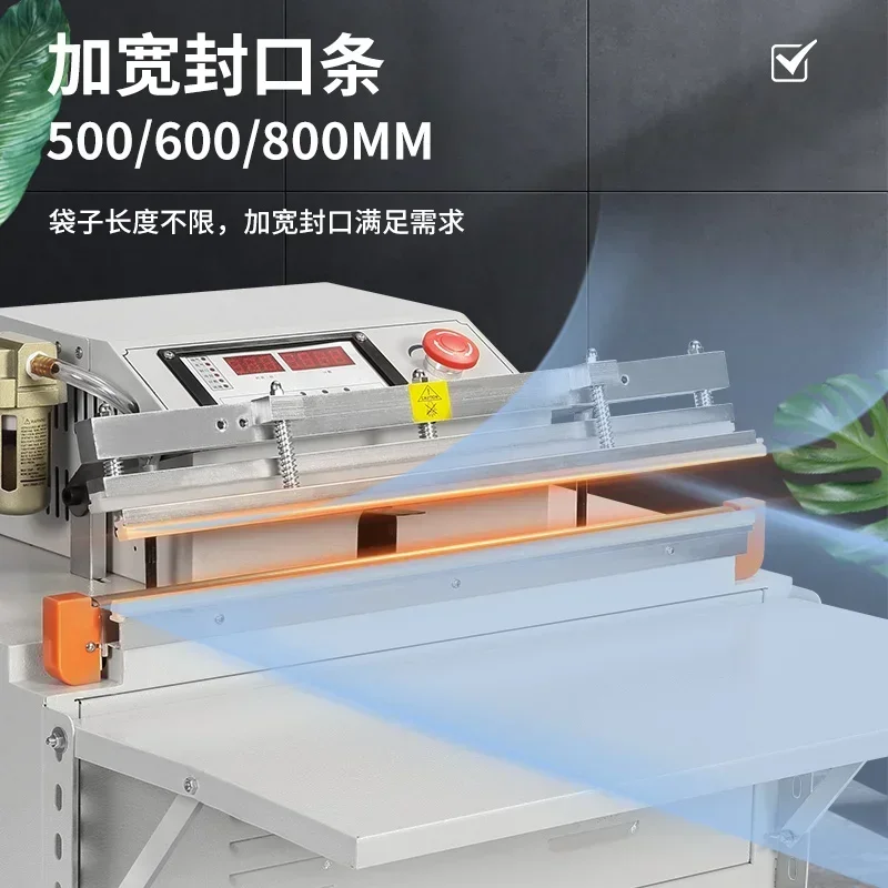 Máquina envasadora al vacío externa Tieniu 500