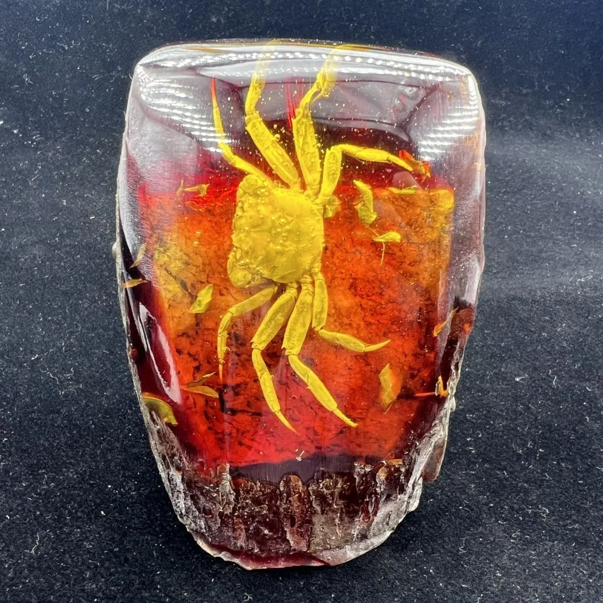 Amber beeswax insect rough stone insect Yiming amazing scorpion product