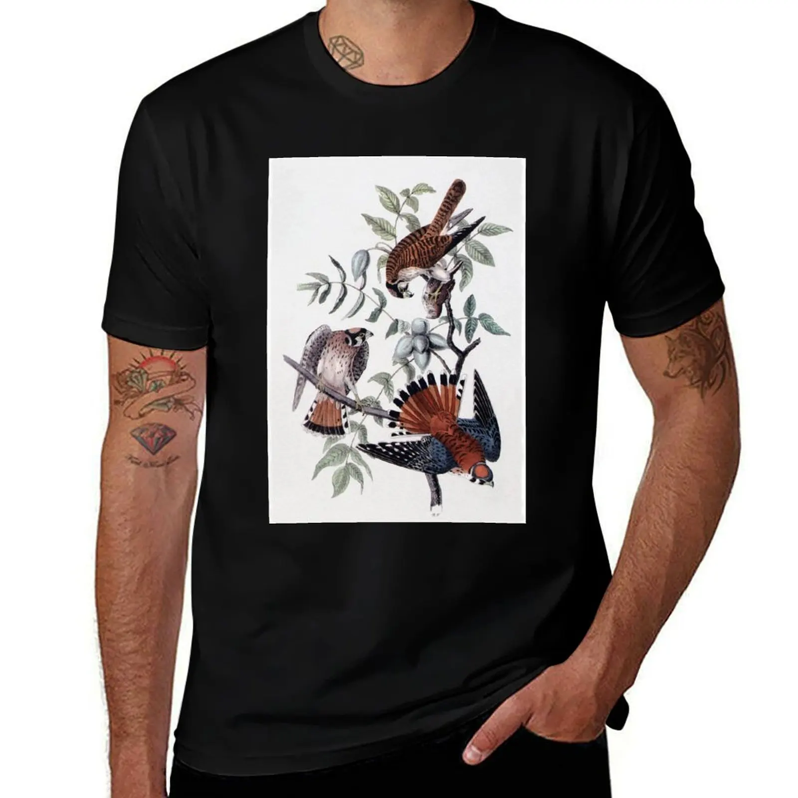 

Футболка American Kestrel (Sparrow Hawk) от John James Audubon, мужская повседневная футболка