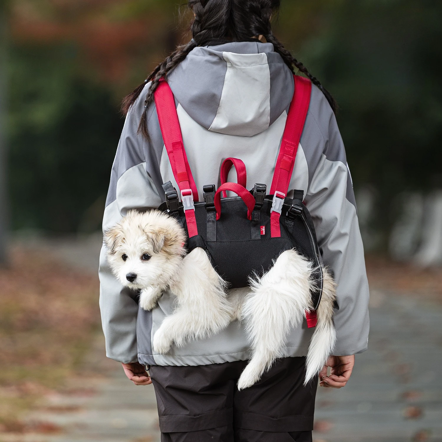 

Foldable Portable Pet Chest Sling Carrier Outdoor Travel Crossbody Bag for Small Medium Dogs Puppy Cat Outdoor Carry Bag