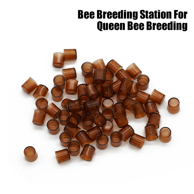 120/240/480 PCS Bee Queen Rearing King Cups Brown Color Cells Cages Room Cups Cell Cage Cup Bees Tools Beekeepers Equipment