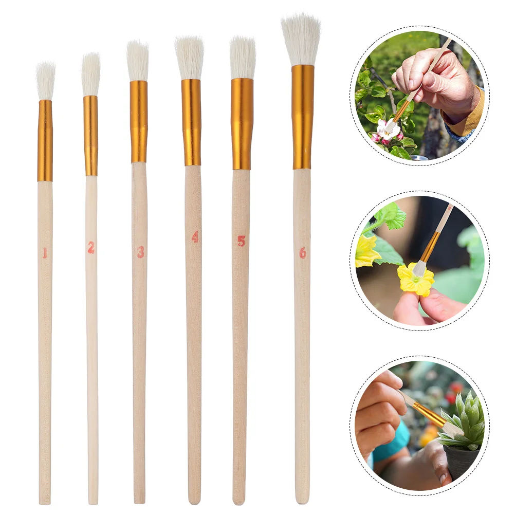

6Pcs Pollinator Tool for Hand Pollination Vegetable Fruit Pollination Applicator Garden Planting Tool Manual Pollinating Device