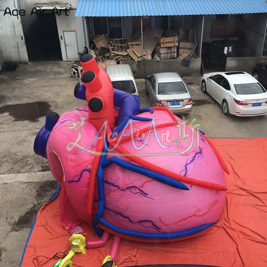 8mLx4mW Unique Inflatable Heart Tent Airblown Heart Model  For Health Fair Exhibition Made By Ace Air Art