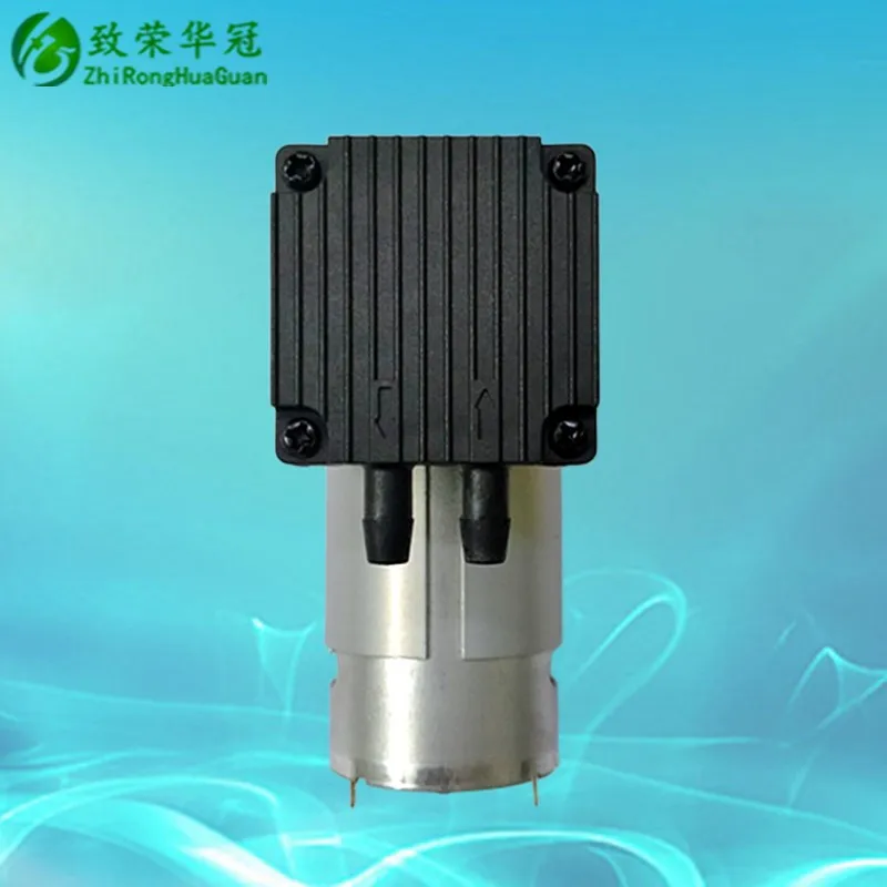 Micro DC Vacuum Pump 12V Diaphragm Pump 24V Micro Air Pump with large flow and high pressure