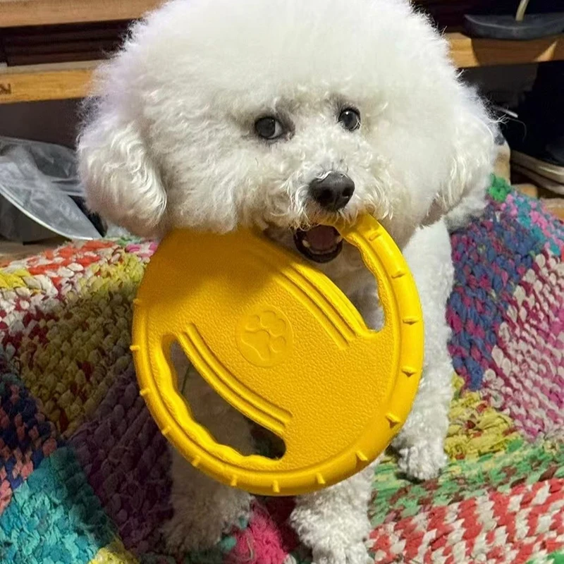 EVA Flying Disc Hondentraining - Flying Disc Dog Training Toy recensie en prijs