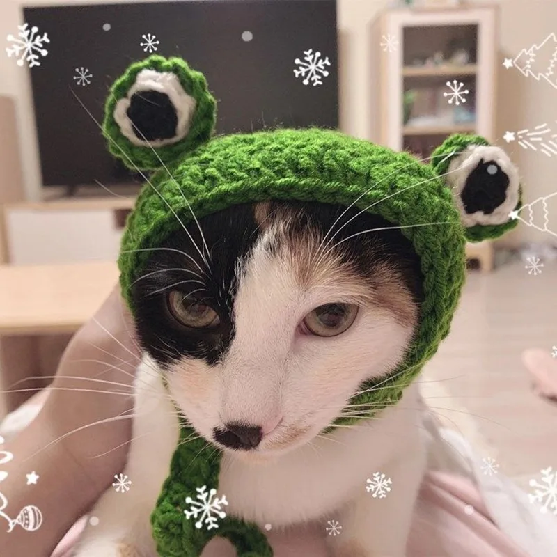 Handmade Knitted Hat for Pet Dogs, Cute Frog Shape Headgear, Fun Photography Socialization, Puppy