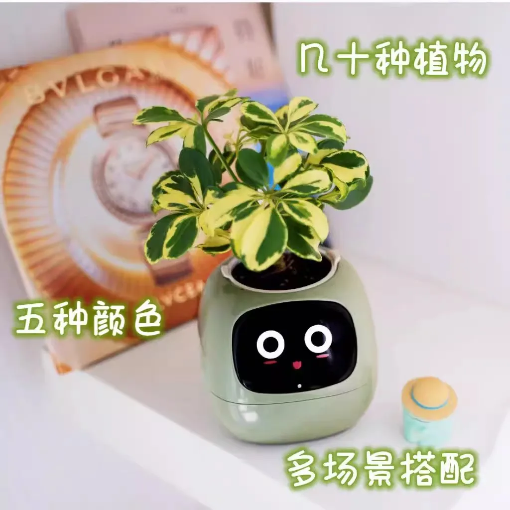 Smart Life Planter Robot Tuya IVY Intelligent Plant Maintenance Robot AI Chips Rich Expression Interaction Companion Custom Gift