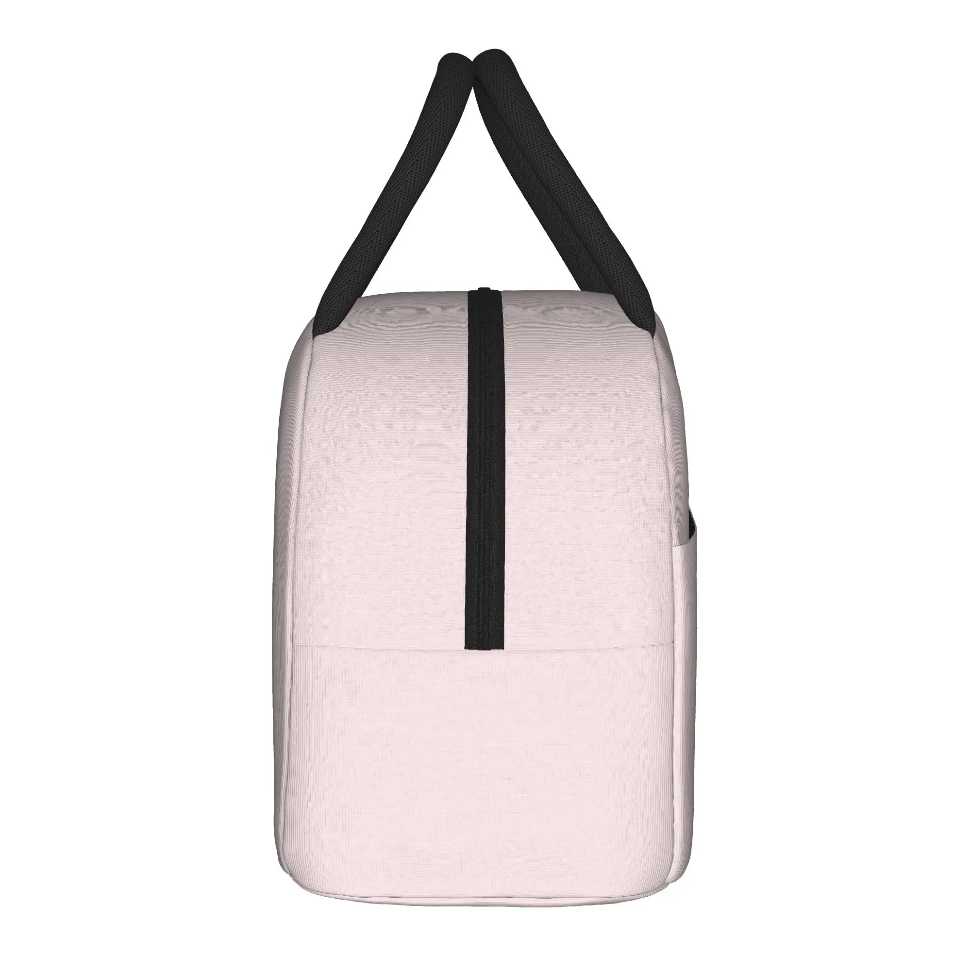 Mikkos Cute Cat Insulated Lunch Bag Large Lunch Container Thermal Bag Tote Lunch Box College  Travel Men Women