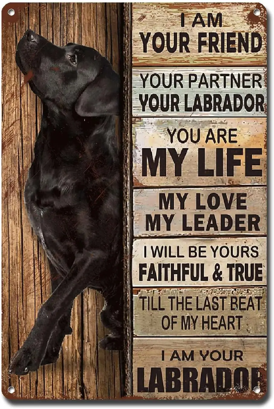 Lygond Metal Sign Tin Sign Vintage Wall Art I Am Your Friend Gift for Labrador Dog Lovers Dog Lovers Vintage Wall Art Prints Vin