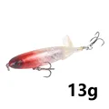 06-13g