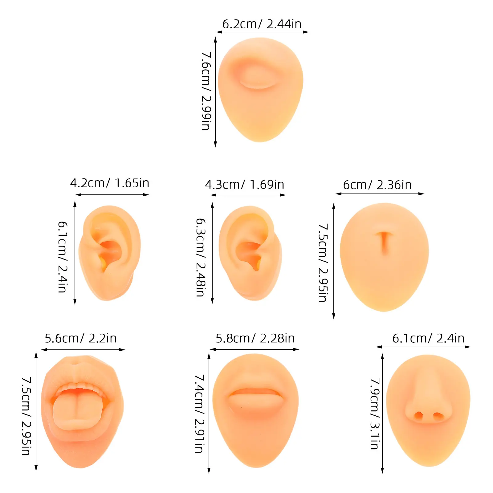 1Set Simulation Fake Face for Piercing Practice Includes Ear Nose Mouth Tongue Models Realistic Training Teaching Tool