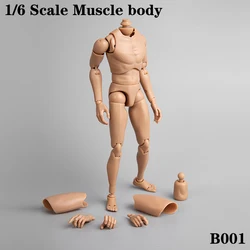 1/6 B001 Narrow Shoulder Caucasian Male Body Model Upgrated Version For 12