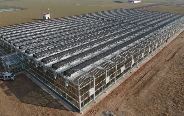 2025Dust Prevention Moisturizing Shade Net Garden Patio Cover for Agricultural Use Outdoor Shade Sails & Nets