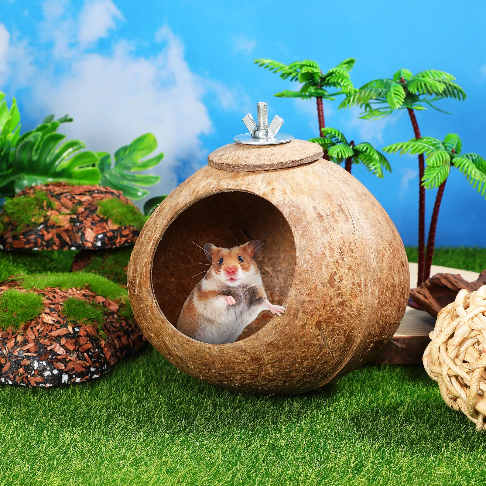 

POPETPOP Natural Coconut Shell Hanging Nest for Birds Pet Breeding for Hamsters Squirrels Garden Yard Craft Decoration