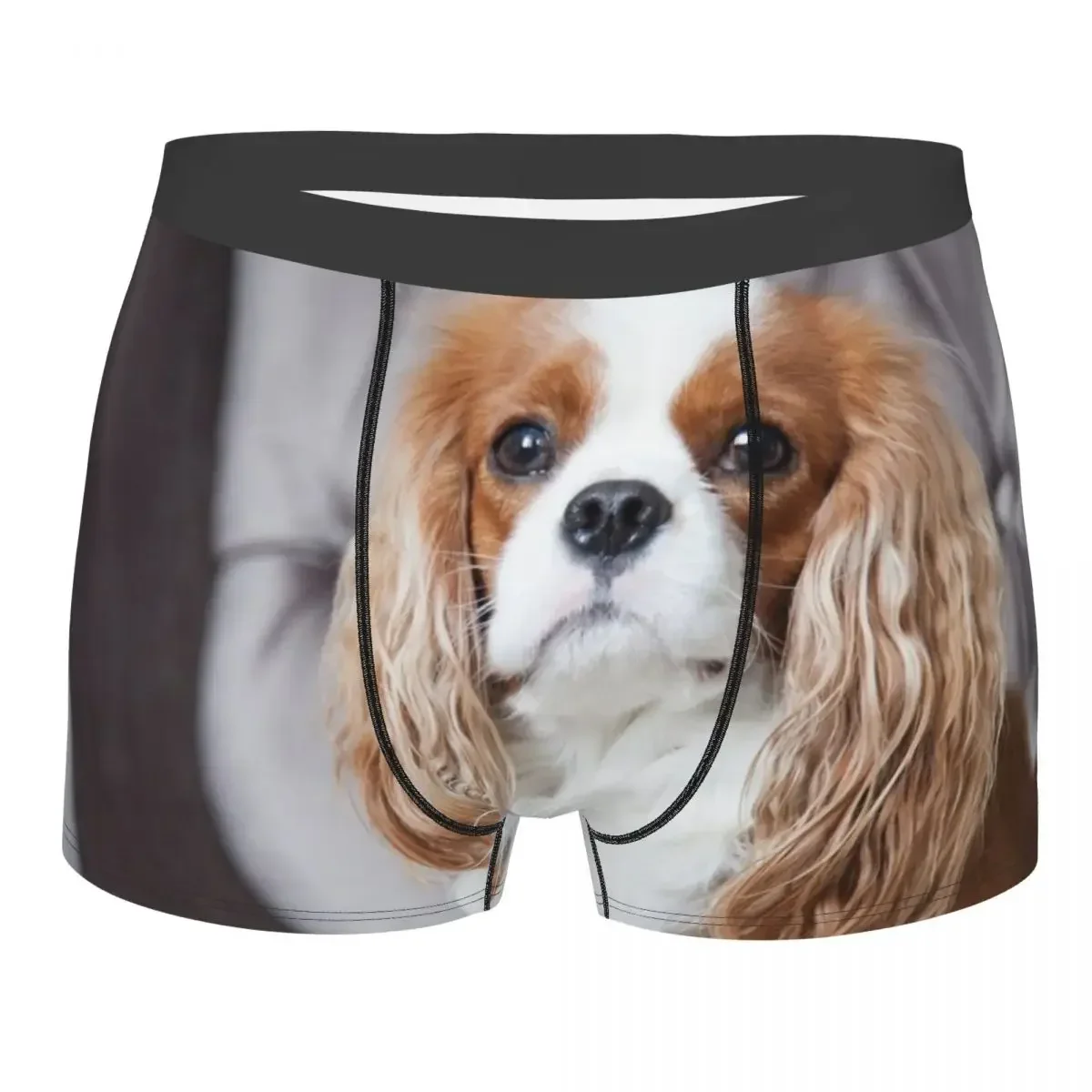 Custom Male Fashion Cavalier King Spaniel Underwear Dog Boxer Briefs Soft Shorts Panties Underpants