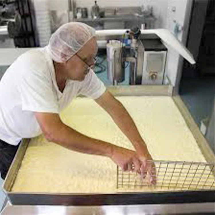 Small Cheese Making Machine Mozzarella Cheese Making Machine view 4