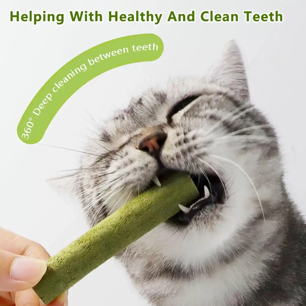 1/6pcs Cat Grass Teeth Grinding Stick Pet Snacks Cat Baby Cat Teeth Cleaning Sticks Hairball Removal Mild Hair Row Ready To Eat