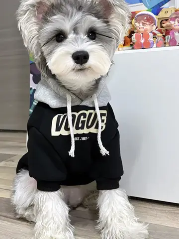 치와와 퍼그 의상 요크셔 셔츠, 개 티셔츠, 여름 개 옷 작은 대형 개 고양이를위한 캐주얼 의류, 개 옷 여름