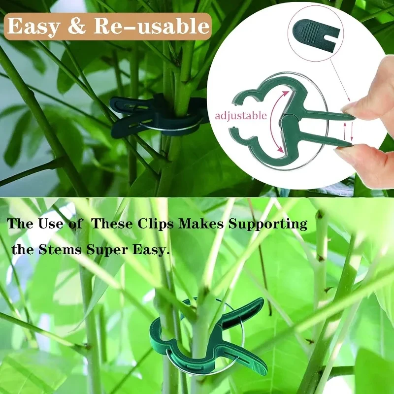 10/100 stücke Anlage Feste Clips Wiederverwendbare Garten Gewächshaus Halterung Garten Pflanzen Reben Klettern Klemme Blume Tomaten Unterstützung Verschluss – Detail 6
