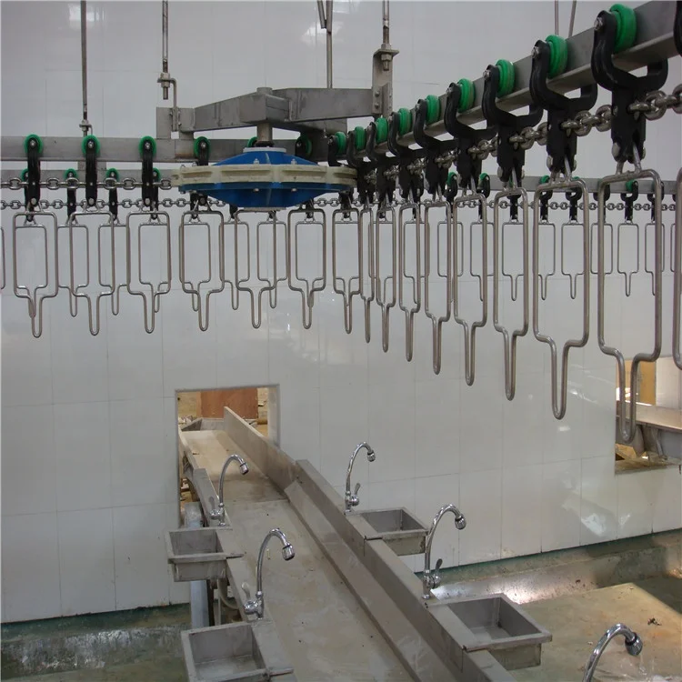 FL Poultry Slaughter Line Continuous Chicken Scalding Machine Assembly for Mass Chicken Slaughter Production Work