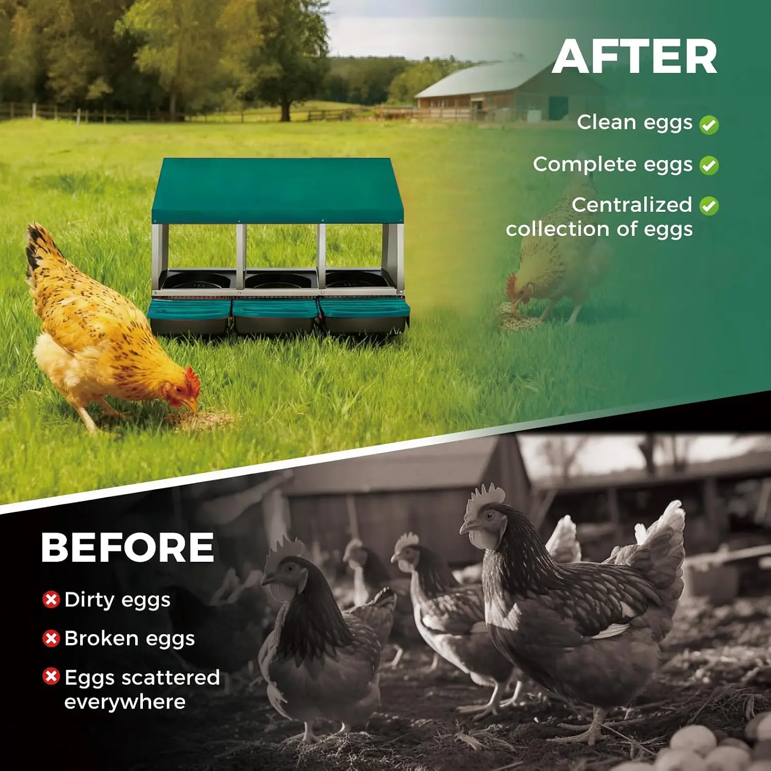 Nichoir mural en métal Garvee Green pour poules, 3 compartiments coulissants pour la ponte des œufs avec toit ventilé étanche et plateaux de nettoyage amovibles pour volailles de jardin