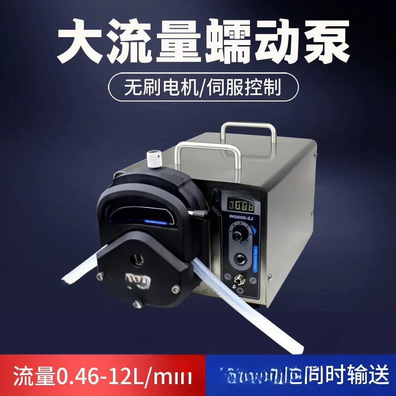 for Industrial Use Peristaltic Pump WG600-2J High Precision Maintenance-Free Flow Speed Mode Pharmaceutical Industrial