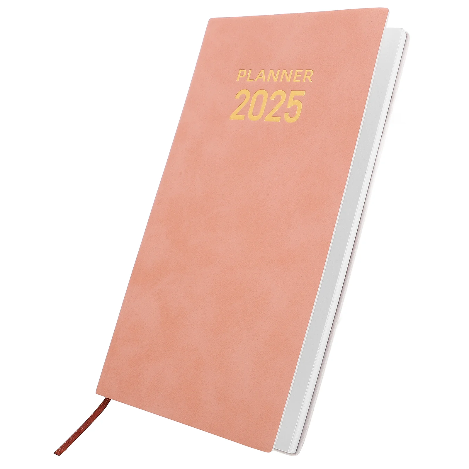 

2025 Calendar Planner Daily Journal Agenda Book Scrapbook The Notebook Convenient Academic Use