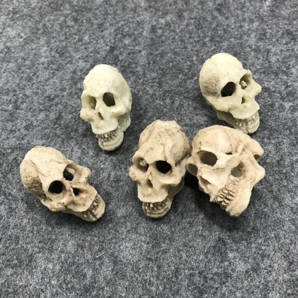 

2pcs Simulated Decoration Mini Aquarium Ornament Human Skull Ornament Bone Resin Made Odorless Fish Tank Pet Supplies