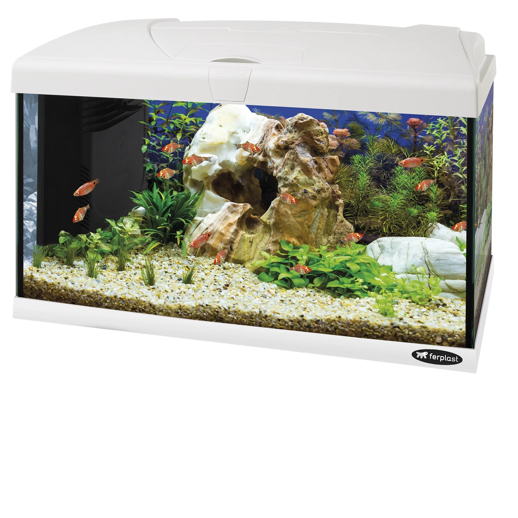 Capri 60 LED - 60 L. Glass Aquarium with LED Lamp, Internal Filter and Heater. 2 Colours.