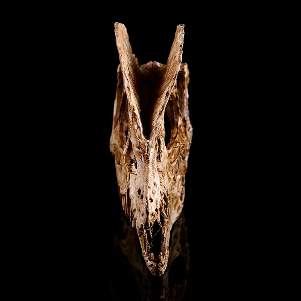 

Dinosaur Skull Ornament Adornment Household Resin Crafts Car Decoration Landscape Creative