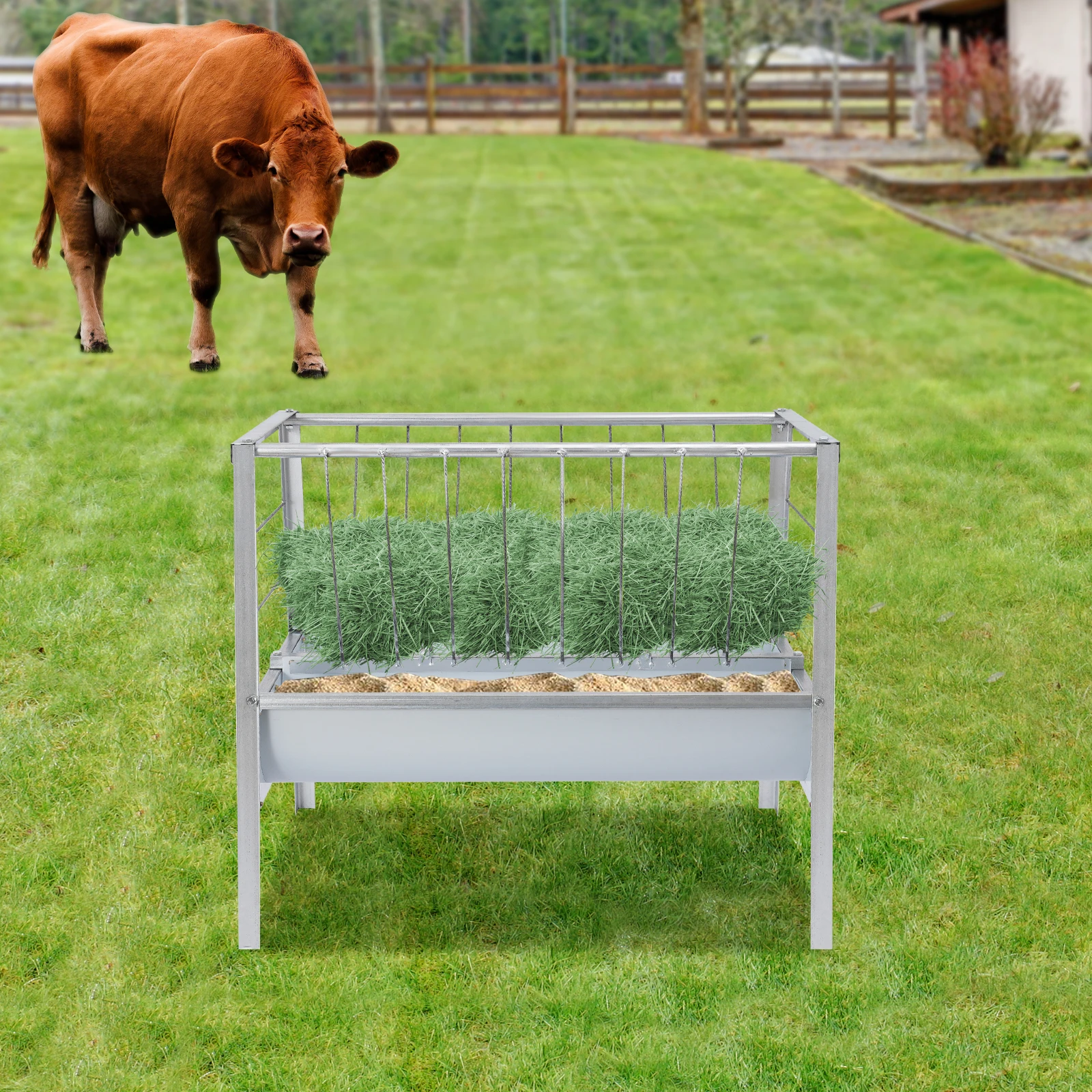 Hay Feeder, 100X85X…