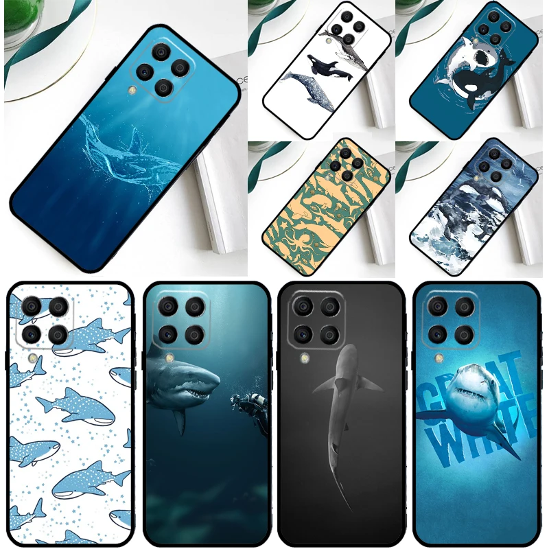 Shark And Killer Wh…