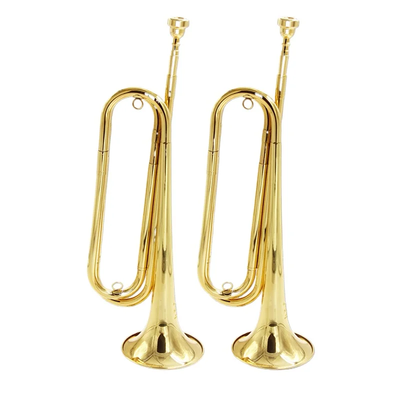 Bb Tuba Professional Band Performance Tuba Adults Beginners Practice Tubas Lacquer Gold Modulation Brass Instruments with Bag
