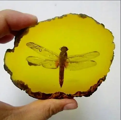 Beautiful Amber Dragonfly Fossil Insects Manual Polishing 150G