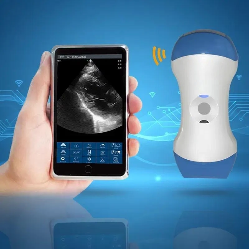 2026Color Ultrasound Convex Array/line Array/Phased Array Three-in-one Probe 128 Array Elements,The Convex Array Is R45 Small